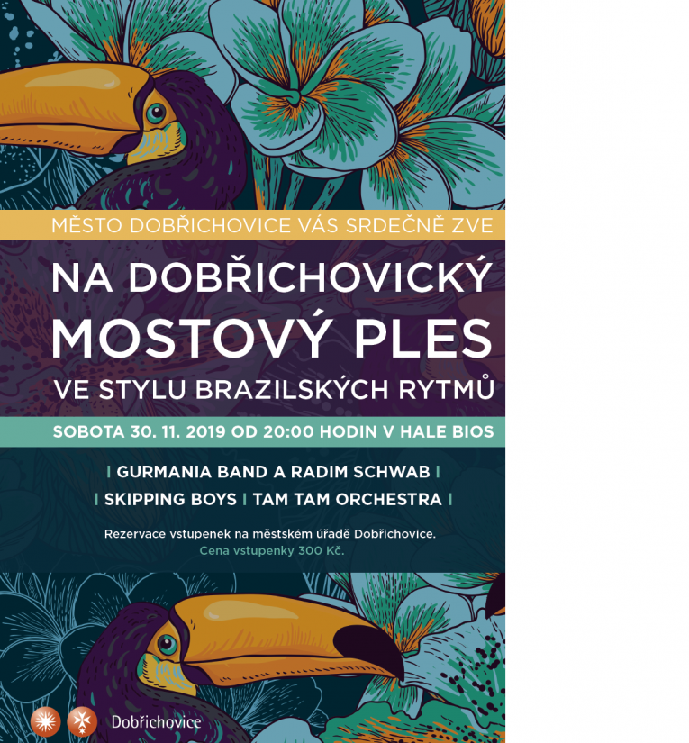 plakát ples 2019